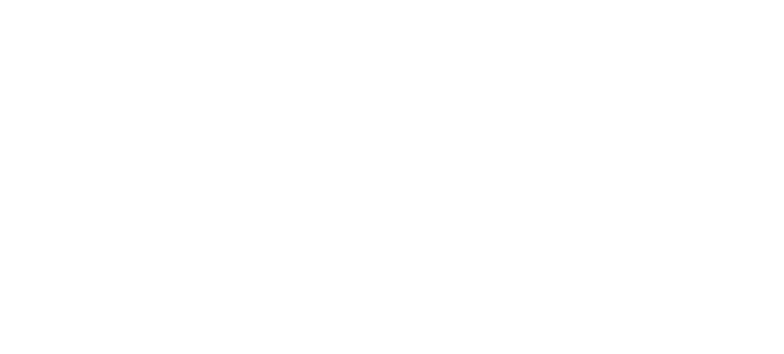 Hyundai Motor Company