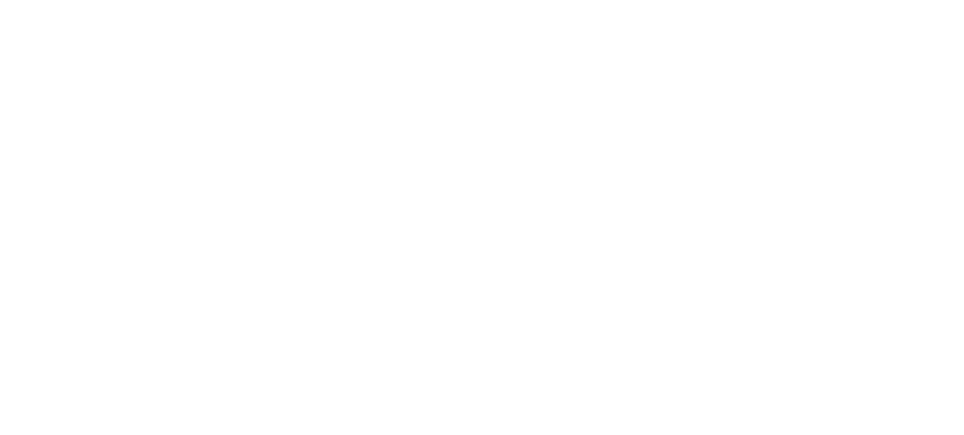 American Honda Motor Company