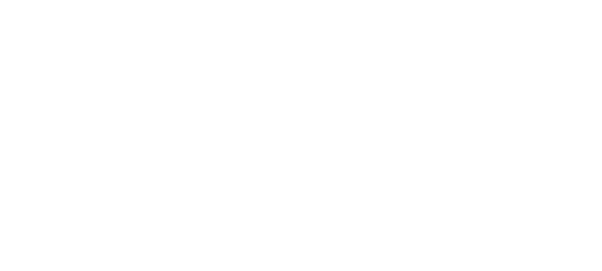 BMW Group