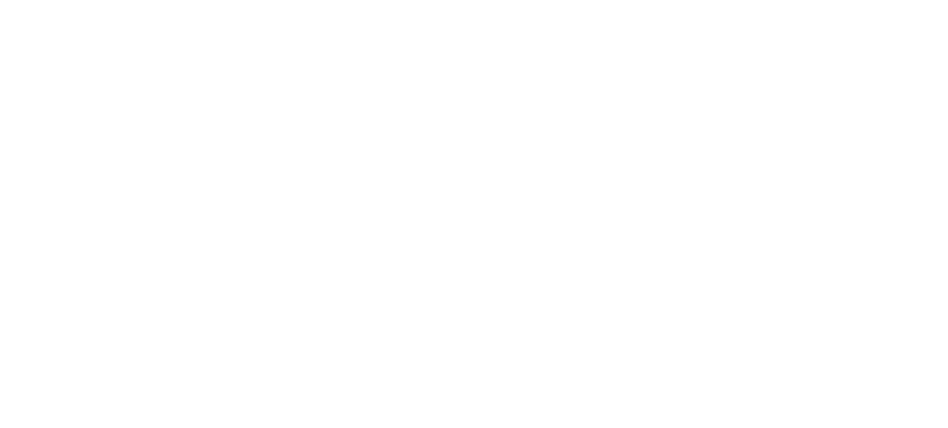 LG Energy Solution