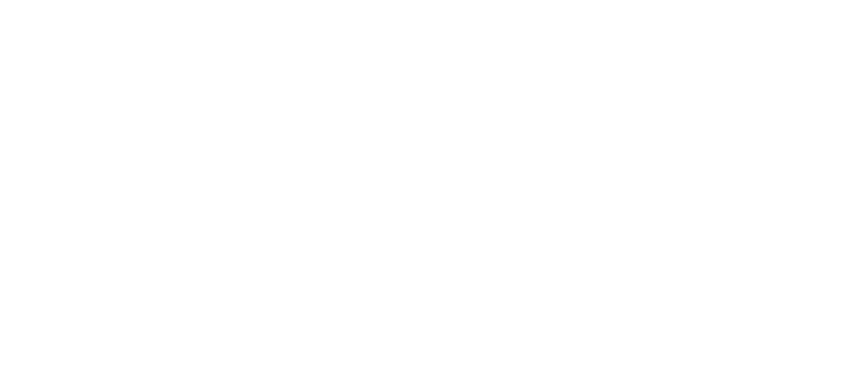Ford Motor Company